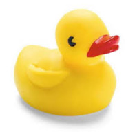 rubberducky446