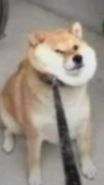 Danimaljd