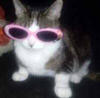 coolfatguy1