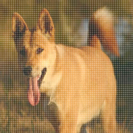 Mattokun