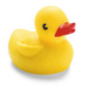 rubberducky446