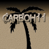 Carbs11