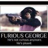 FuriuosGeorge