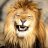 HappyLion34