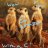 MeerCatsRAmazing