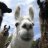 outragedllama